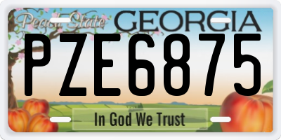 GA license plate PZE6875