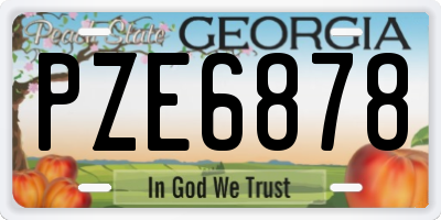 GA license plate PZE6878
