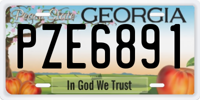 GA license plate PZE6891