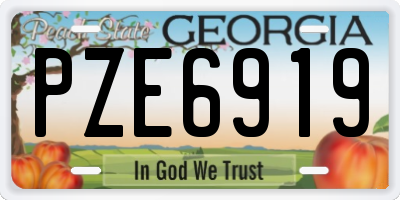GA license plate PZE6919