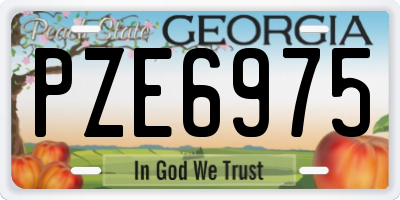GA license plate PZE6975
