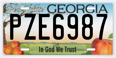 GA license plate PZE6987