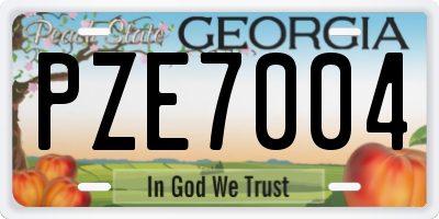 GA license plate PZE7004