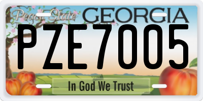 GA license plate PZE7005