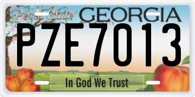 GA license plate PZE7013