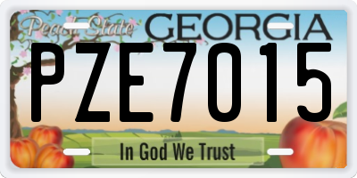 GA license plate PZE7015