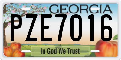 GA license plate PZE7016