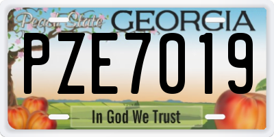 GA license plate PZE7019