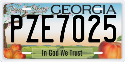 GA license plate PZE7025