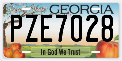 GA license plate PZE7028