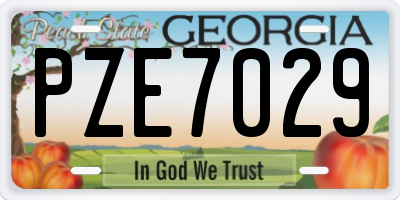 GA license plate PZE7029