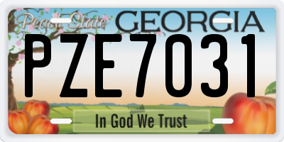 GA license plate PZE7031