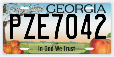 GA license plate PZE7042