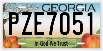 GA license plate PZE7051