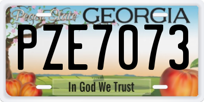 GA license plate PZE7073