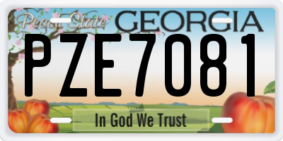 GA license plate PZE7081
