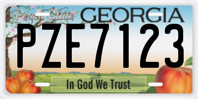 GA license plate PZE7123