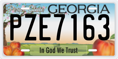 GA license plate PZE7163