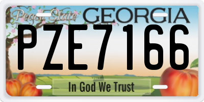 GA license plate PZE7166