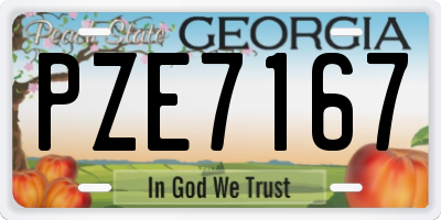 GA license plate PZE7167