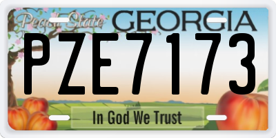 GA license plate PZE7173