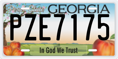 GA license plate PZE7175