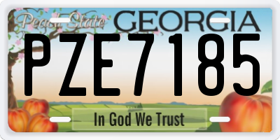 GA license plate PZE7185