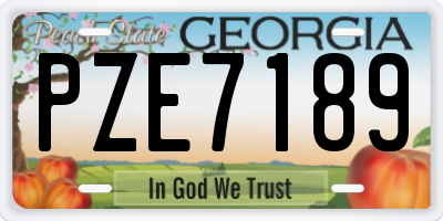 GA license plate PZE7189