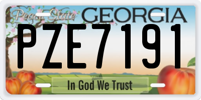 GA license plate PZE7191