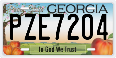 GA license plate PZE7204
