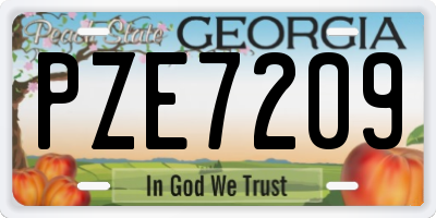 GA license plate PZE7209