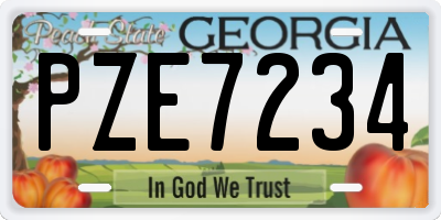 GA license plate PZE7234