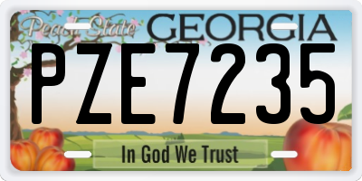 GA license plate PZE7235