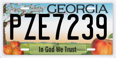 GA license plate PZE7239