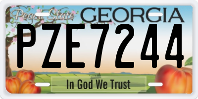GA license plate PZE7244