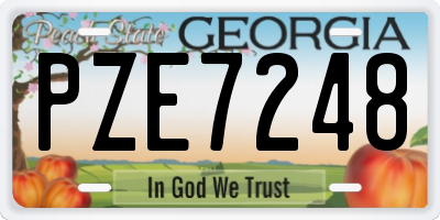 GA license plate PZE7248