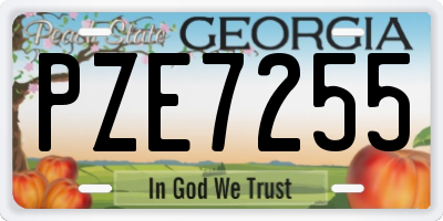 GA license plate PZE7255