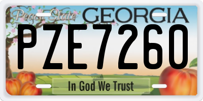 GA license plate PZE7260