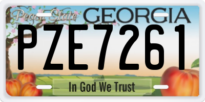 GA license plate PZE7261