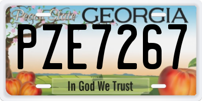 GA license plate PZE7267
