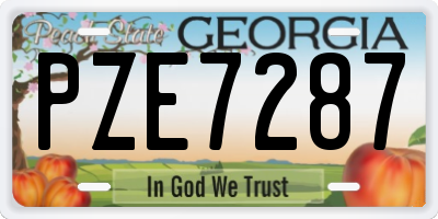 GA license plate PZE7287