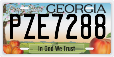 GA license plate PZE7288