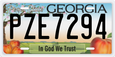 GA license plate PZE7294