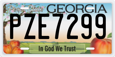 GA license plate PZE7299