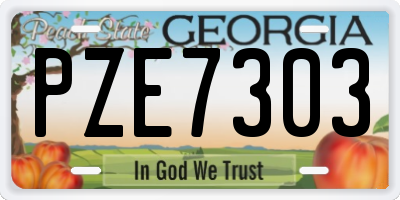 GA license plate PZE7303