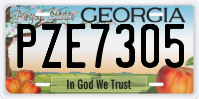GA license plate PZE7305