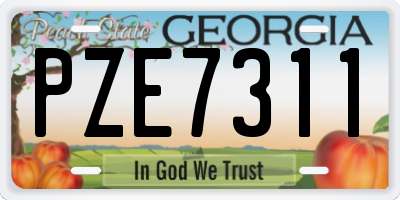 GA license plate PZE7311
