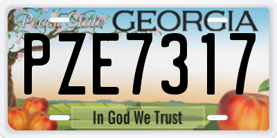 GA license plate PZE7317