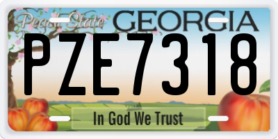 GA license plate PZE7318
