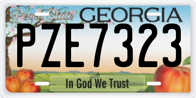 GA license plate PZE7323